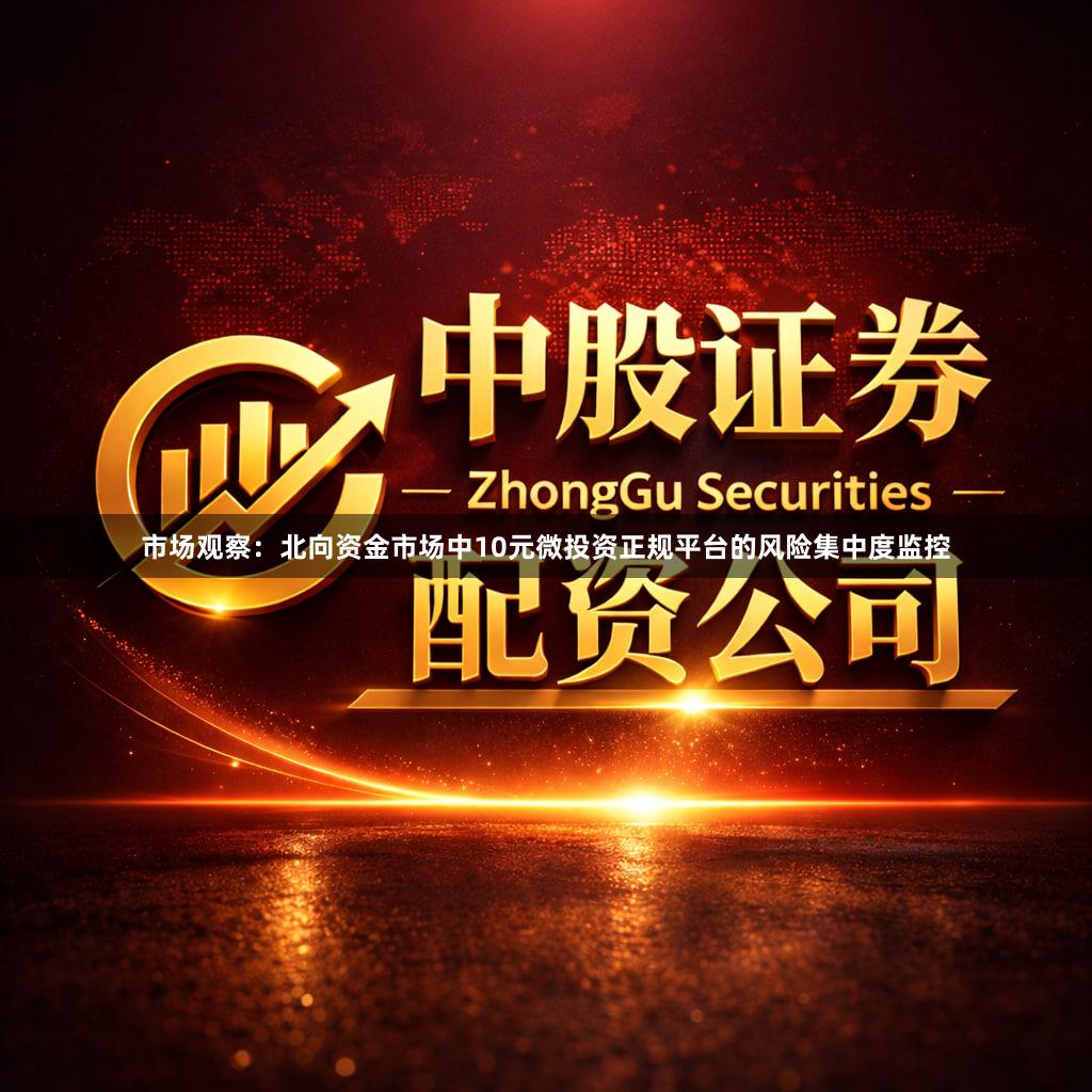 市场观察：北向资金市场中10元微投资正规平台的风险集中度监控