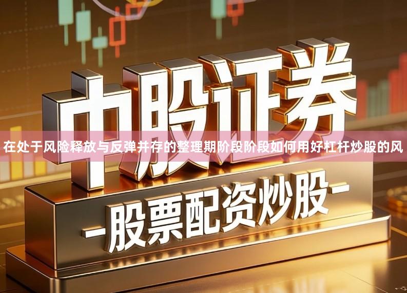在处于风险释放与反弹并存的整理期阶段阶段如何用好杠杆炒股的风