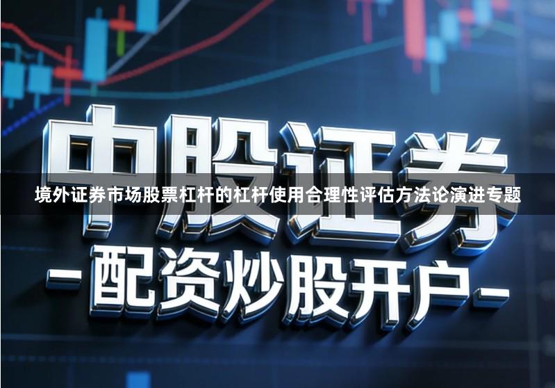 境外证券市场股票杠杆的杠杆使用合理性评估方法论演进专题