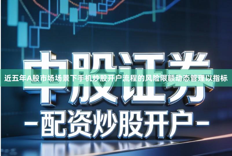 近五年A股市场场景下手机炒股开户流程的风险限额动态管理以指标